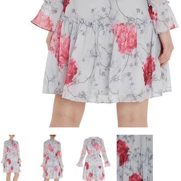 TED BAKER - Eriin Babylon Ruffle Dress - Picture 5 of 15